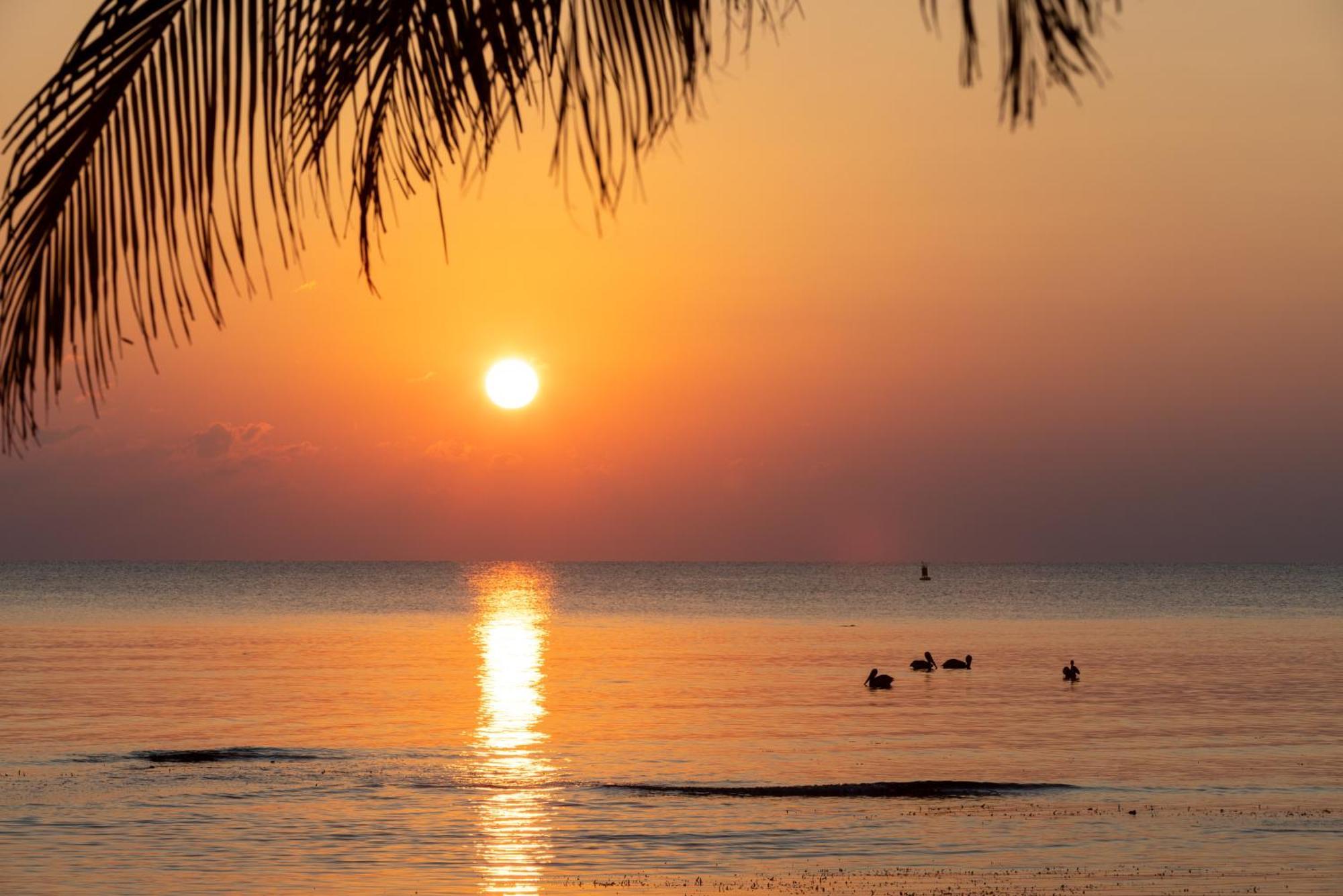 Blue Marlin Beach Resort Dangriga Exterior photo